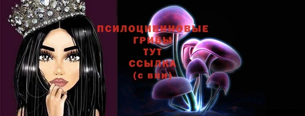 прущие крисы Беломорск