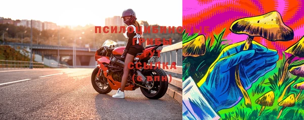 прущие крисы Беломорск
