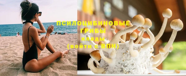 хмурый Богданович